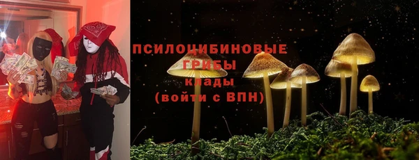сатива Абаза