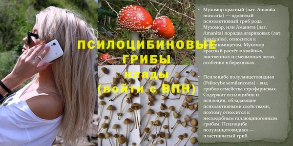 сатива Абаза