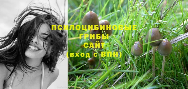 mdpv Абдулино