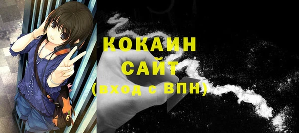сатива Абаза