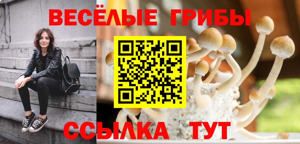 Псилоцибиновые грибы Psilocybine cubensis  Вход с VPN  Балахна 